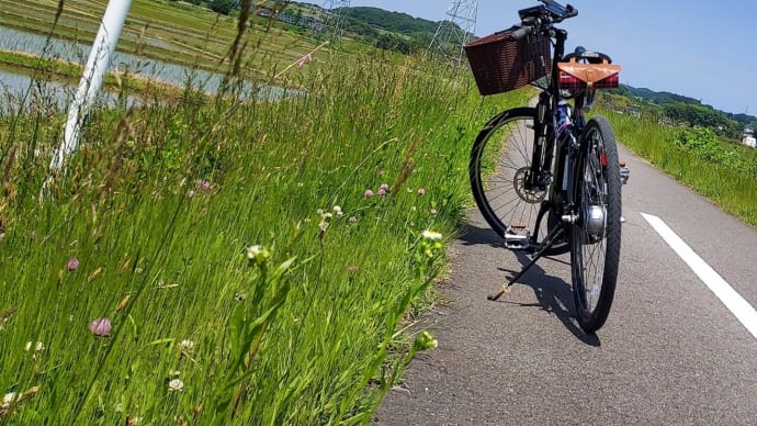 平日も風を切って・・・(「みちのく自転車道」再々デビュー !?)