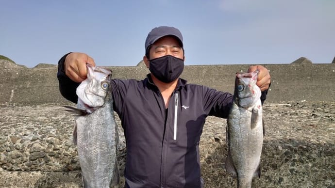 南伊豆 下流 今日の釣果