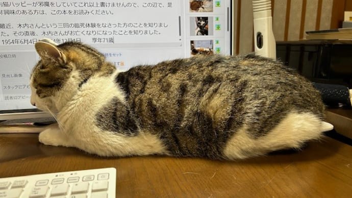 地球人の使命