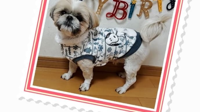 デベ誕生日③