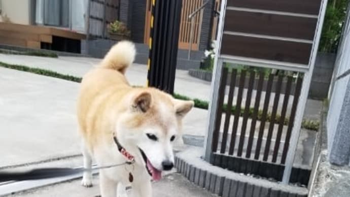 クリンへの想いは尽きなくて・・・16
