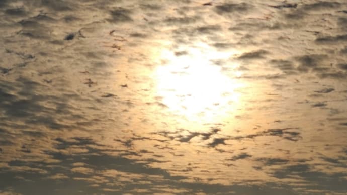 磁気嵐発生しています