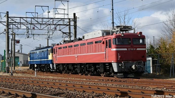 ひな祭りのプレゼント? スター機のお出まし~