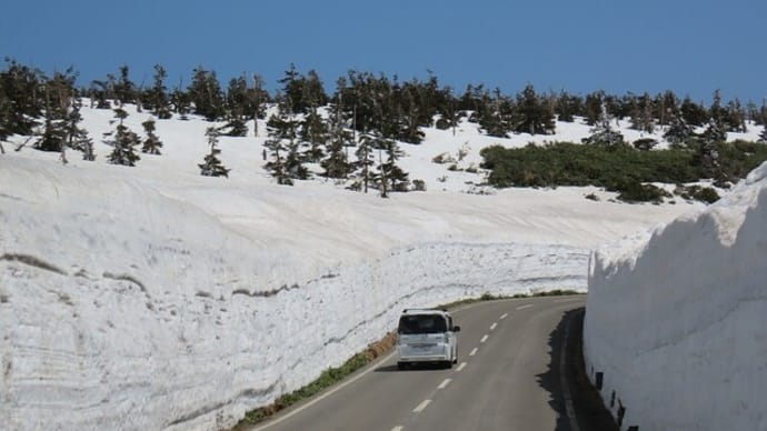 八幡平アスピーテラインの雪の回廊