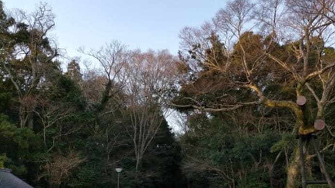 伊勢神宮