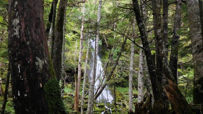 乗鞍岳山麓 苔の滝