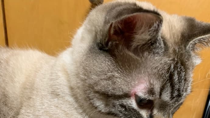 何があったの?