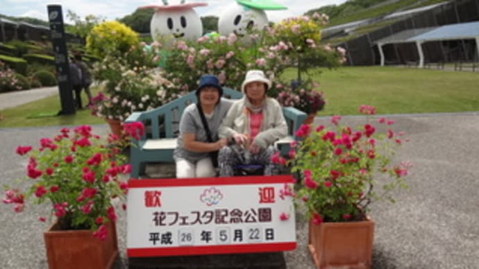 花フェスタ記念公園～バラ祭り