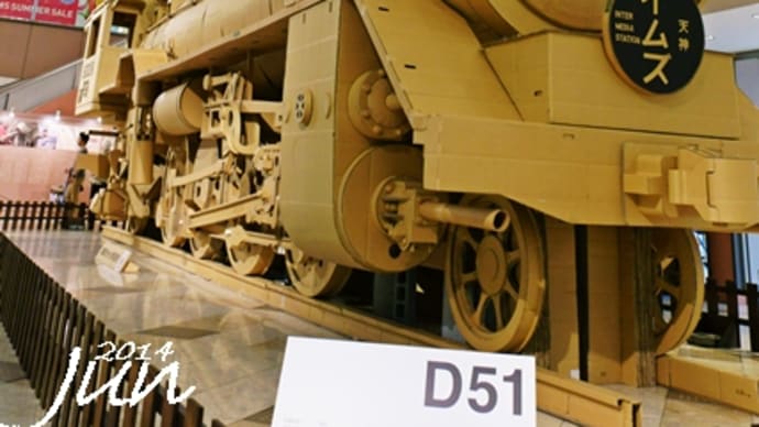 ダンボール模型　D51