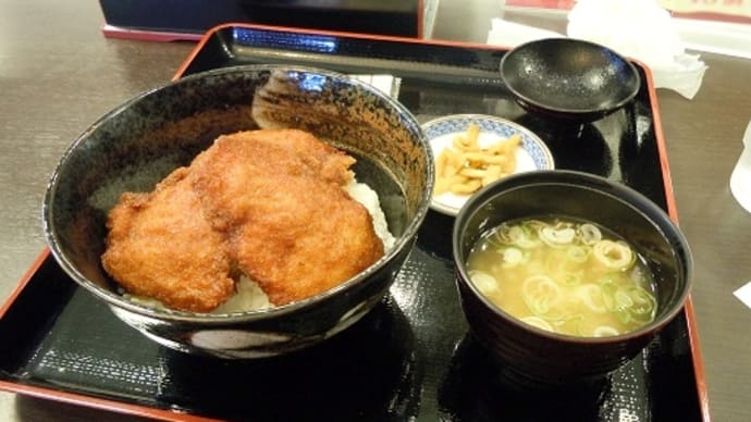 つぶやき#2500 再び若狭・越前・近江へ 近江に向います