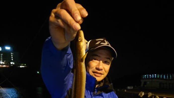 タイラバ中止でアナゴ釣り