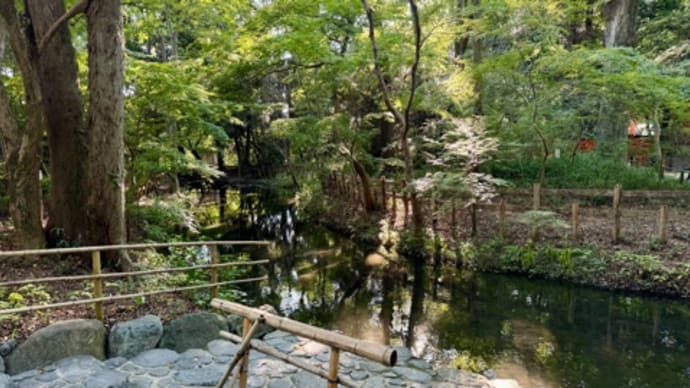 🚶〜下鴨神社🔂…京都コンサートH:京響〜> 241011
