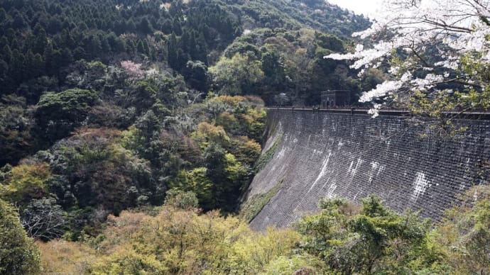 河内貯水池の春(2023年)