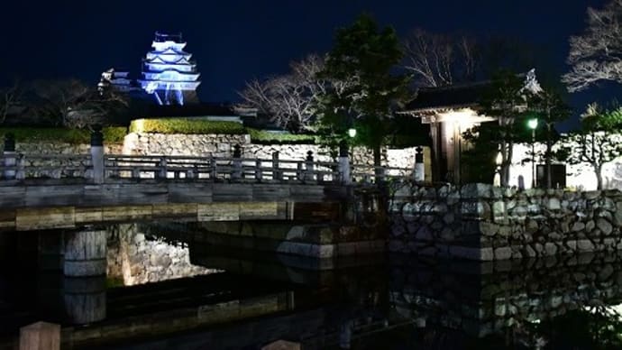 姫路城 ナイトファンタジア「光の舞」