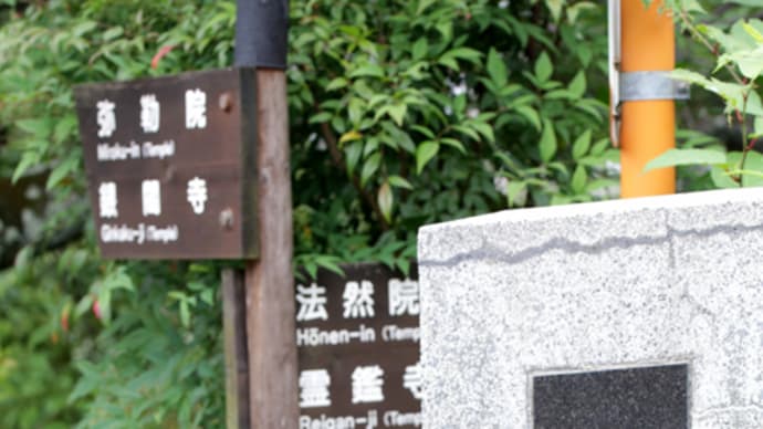 京都哲学の道の紫陽花と仙太郎さんの水無月