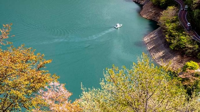 奥多摩湖の新緑と桜　2