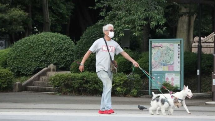 7年前の今日と今朝の写真。 車とイヌの種類は変わらない。