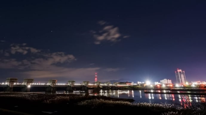 14/Dec 相模大堰の夜景と紅葉とカワセミ