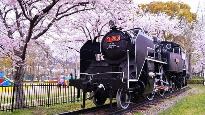 たつの市 中川原公園・揖保川沿い 満開の桜