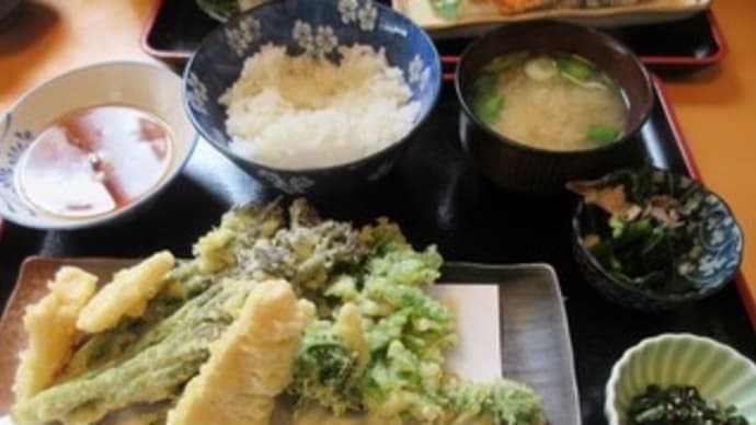 11回目「しおかぜ」で、山菜天ぷら定食、鮭はらす焼き定食、肉豆腐