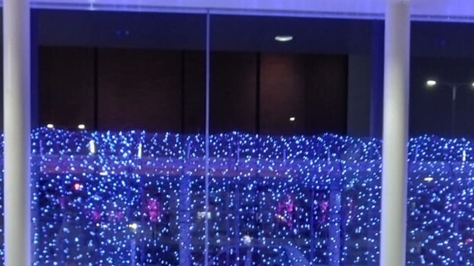 雪のない函館
