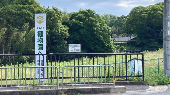 大阪公立大附属植物園　①