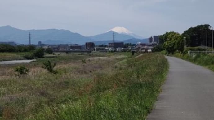 チャンスの女神には前髪しかない