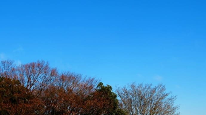 今日は晴れました~♪