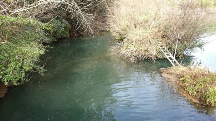 2月28日　第33回枝下旧用水路清掃のお知らせ