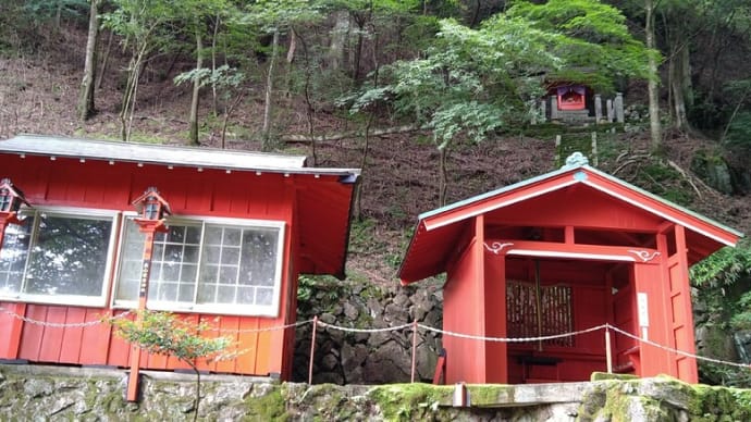 「奥山愛宕神社」(青山勝地) のブナ原生林 de 樹木パワーのち雷 その2