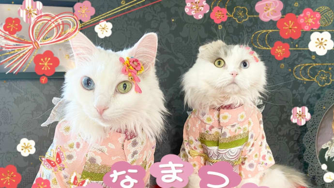 ひな祭り 2024 / ちらし寿司など