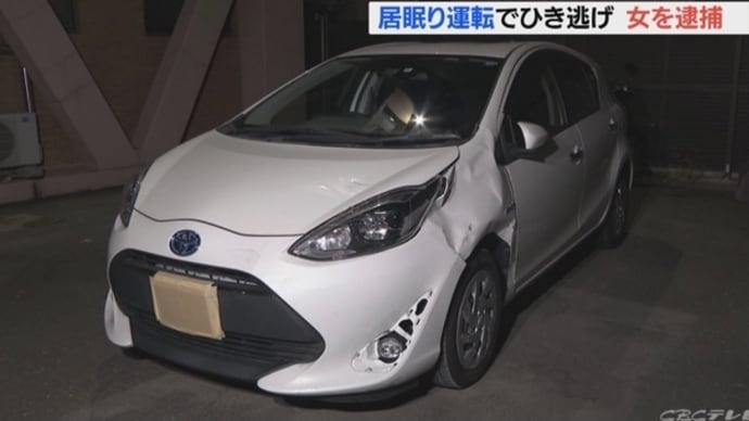 愛知でクソ外道が居眠り運転で赤信号無視してチャリの高齢者を殺害