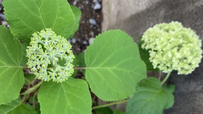 「怒り」のコントロールについて