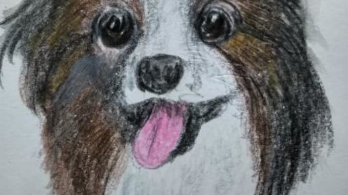 癒しの肖像画－小型犬特集