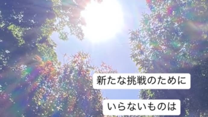 〜マヤ暦 K15 青い鷲・白い魔法使い・音2〜 「亜熱帯サウナ」を楽しむ「黄色い戦士」たち
