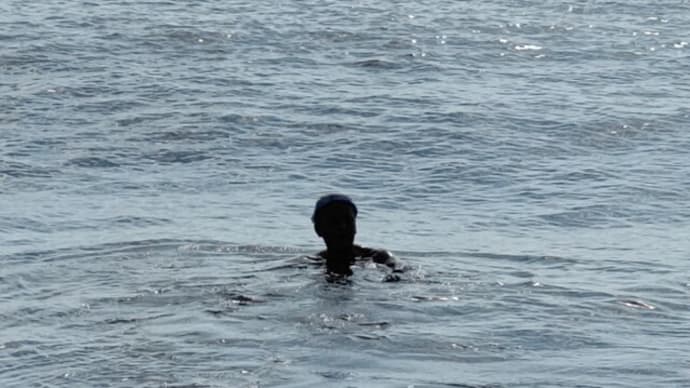 海で泳いで、泳いで、泳ぎまくる