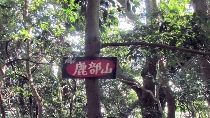 鹿部山 56