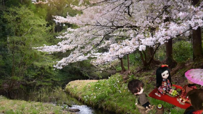あんみつ姫さまたち御一行お花見♪♪♪