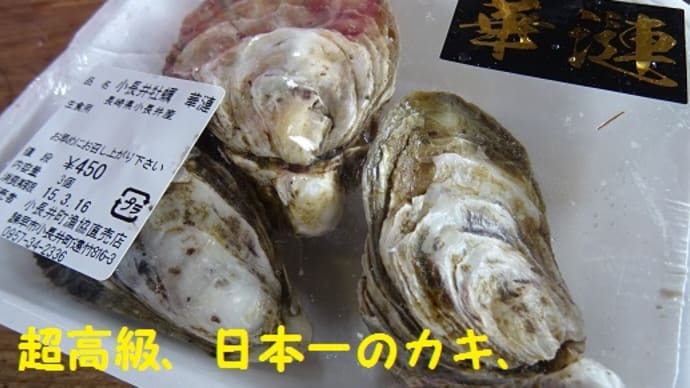テレビ見逃したー。