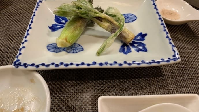 飲茶ナイト 5.山菜で箸休め、からのガッツリ(笑)