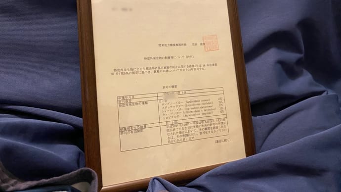 特定外来生物…。