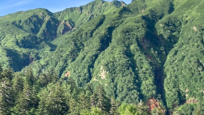 富良野岳〜三峰山〜上富良野岳 2024/8/1
