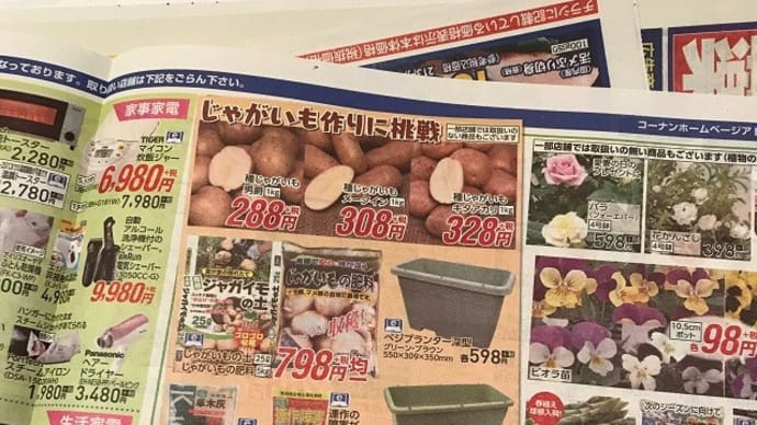 今日の新聞チラシ