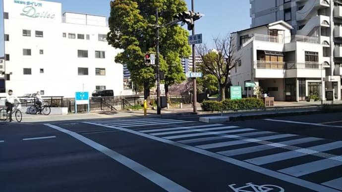 本日は古代から桜の名所として知られている桜満開に近い一級河川今川へ。本日はフォルス針中野店からはるやま大阪湯里店近くにある今川の源流まで桜を見に行きました。