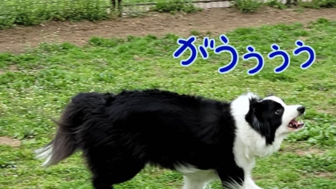 遊びと仕事と