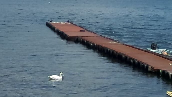 不要不急の温泉旅行