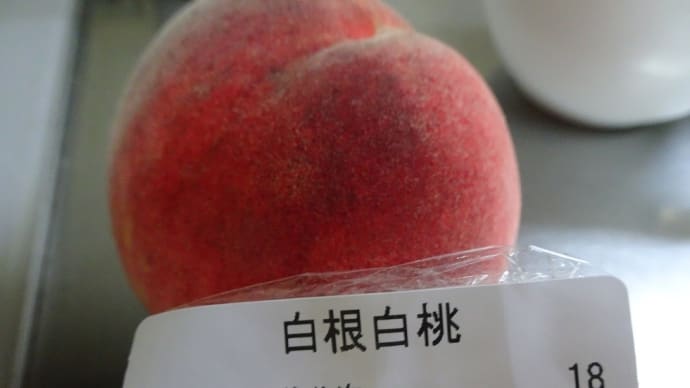 貢物