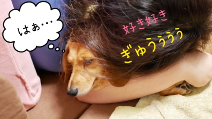 ぎゅうぅぅぅ💕