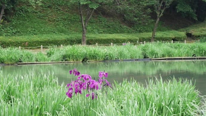 四季の里公園