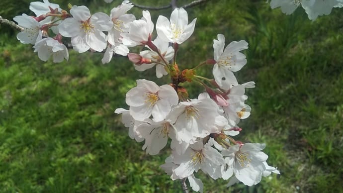 もう4月!?